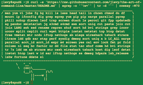 CLI 터미널 환경 예시